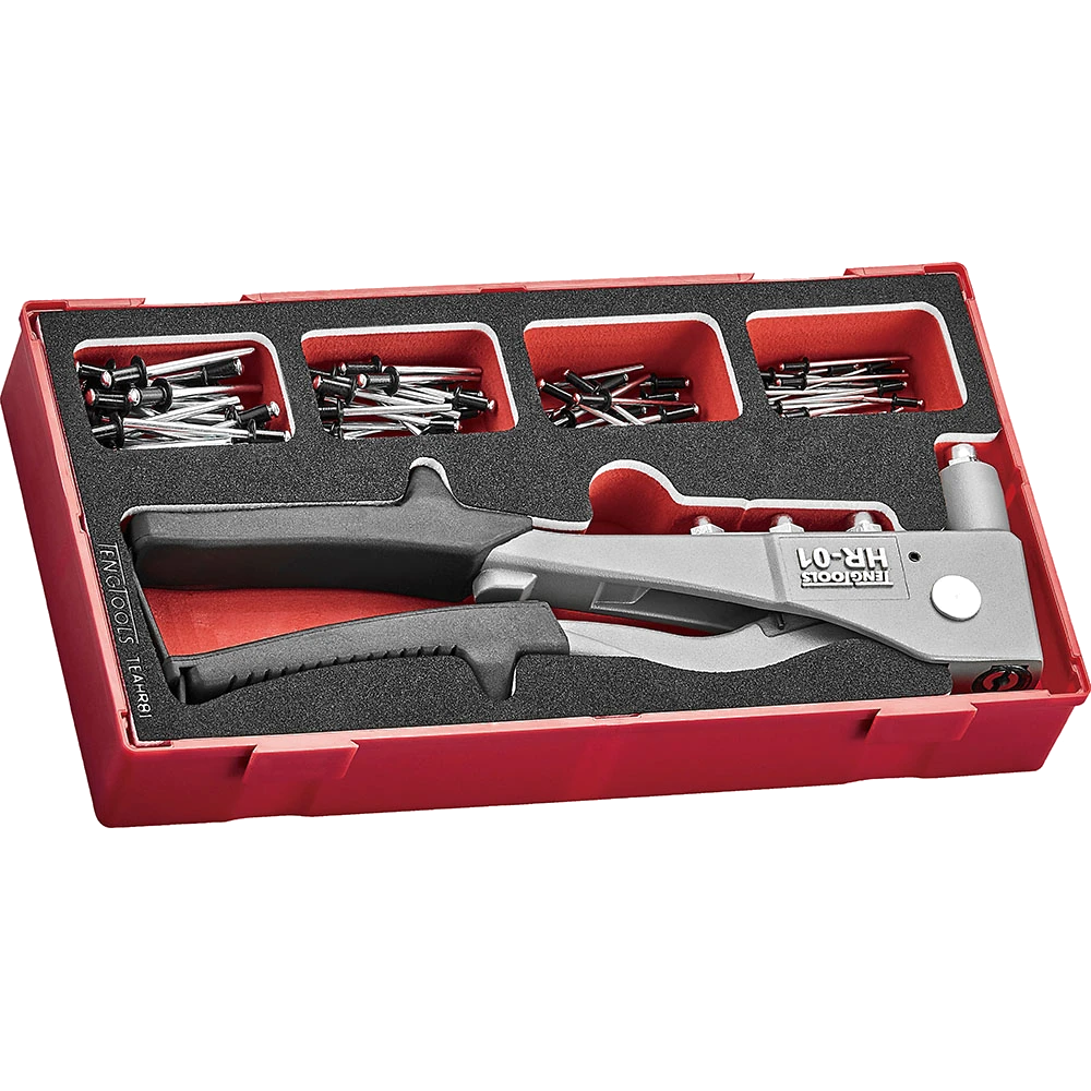 Teng 81pc Rivet Gun Set - TEA-Tray