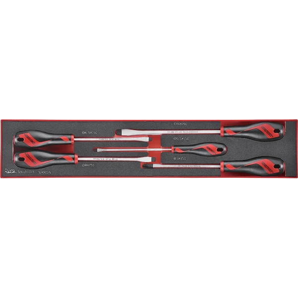 Teng 5pc MD Screwdriver Set - TEX-Tray