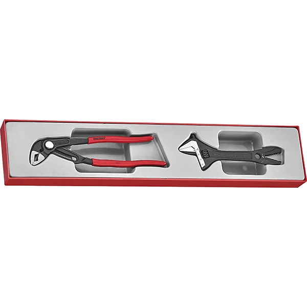 Teng 2pc Plier/Adjustable Wrench Set - TTX-Tray
