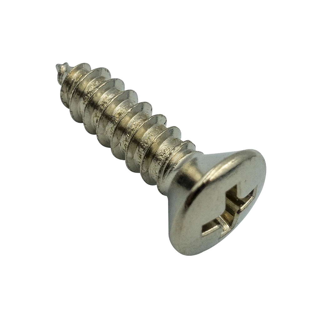 Champion 10G x 3/4in S/Tapping Screw Rsd HD Phillips - 100pk
