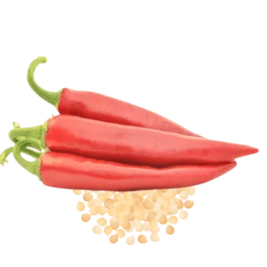 Prodaja Segedi 80 F1 - Cena semena Ostalo | SM AgroShop