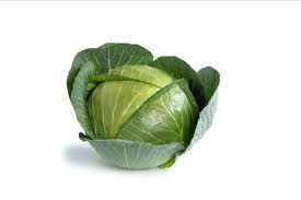 Prodaja Tacoma F1 - Cena semena Ostalo | SM AgroShop