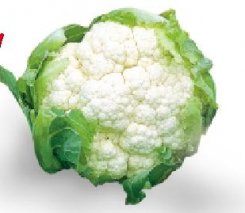 Seme Bruce F1 - Ostalo | SM AgroShop