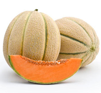 Seme Donatello F1 - Ostalo | SM AgroShop