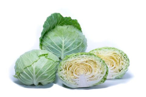 Seme Quick start F1 - Ostalo | SM AgroShop