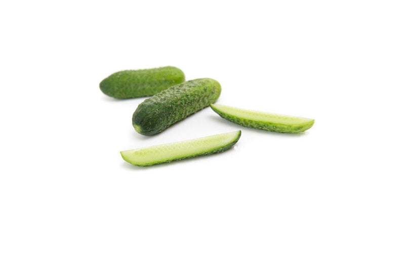 Seme Sound F1 - Ostalo | SM AgroShop