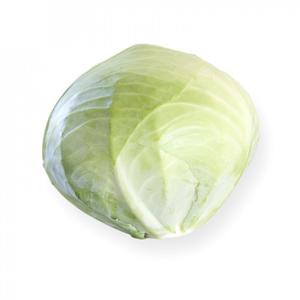 Profesionalno seme Seme kupusa Muscuma F1 PILIRANO - Katalog semena povrća SM AgroShop