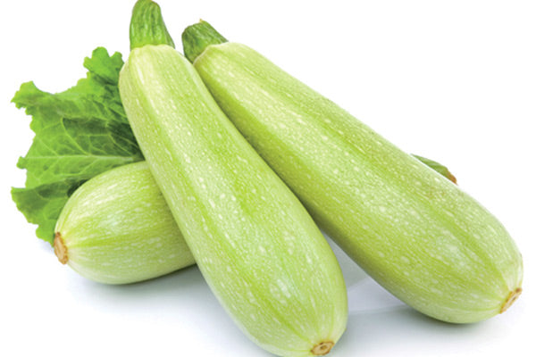 Seme Ardendo F1 EZ - Ostalo | SM AgroShop