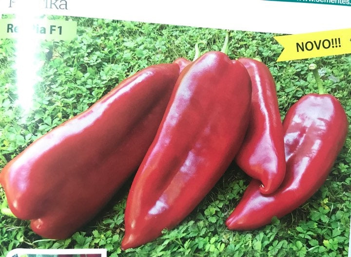 Seme Redpia F1 - Ostalo | SM AgroShop