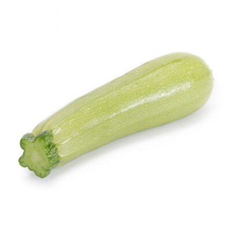 Profesionalno seme Seme tikvice Manises F1 - Katalog semena povrća SM AgroShop