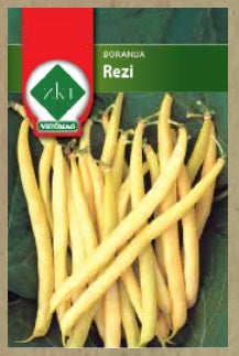 Seme Rezi - žuta olovka 100g - Ostalo | SM AgroShop