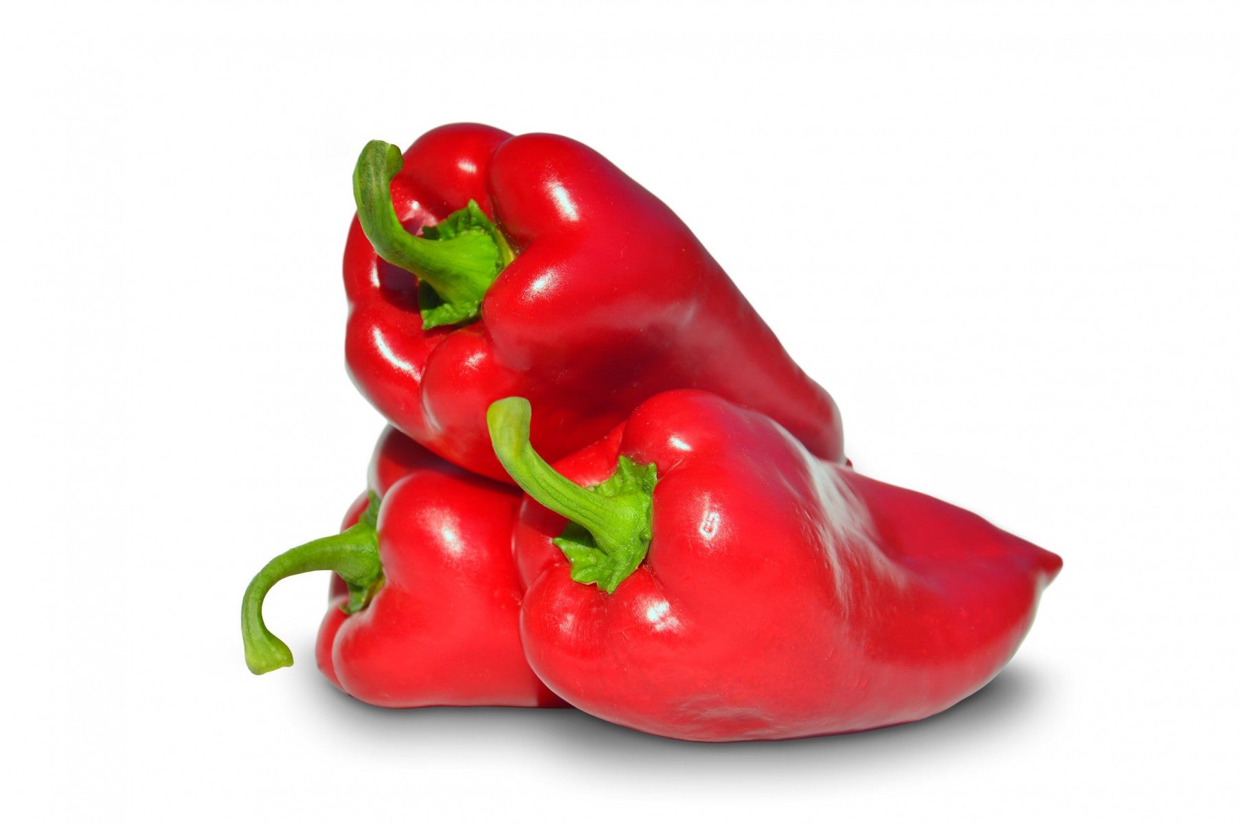 Seme Navigator F1 - Ostalo | SM AgroShop