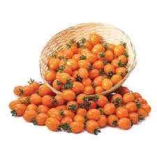 Seme Moda F1 - Ostalo | SM AgroShop