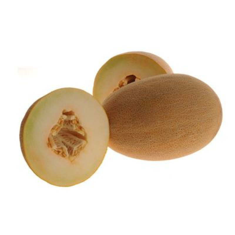 Seme Merlin F1 - Ostalo | SM AgroShop