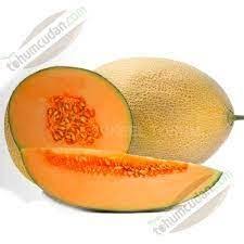 Seme Yaniay f1 - Ostalo | SM AgroShop