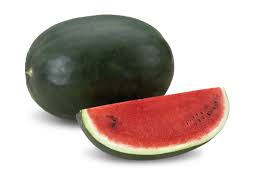 Seme Adam F1 - Ostalo | SM AgroShop