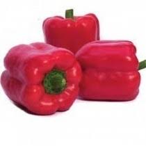 Profesionalno seme Seme paprike Aktor F1 - Katalog semena povrća SM AgroShop