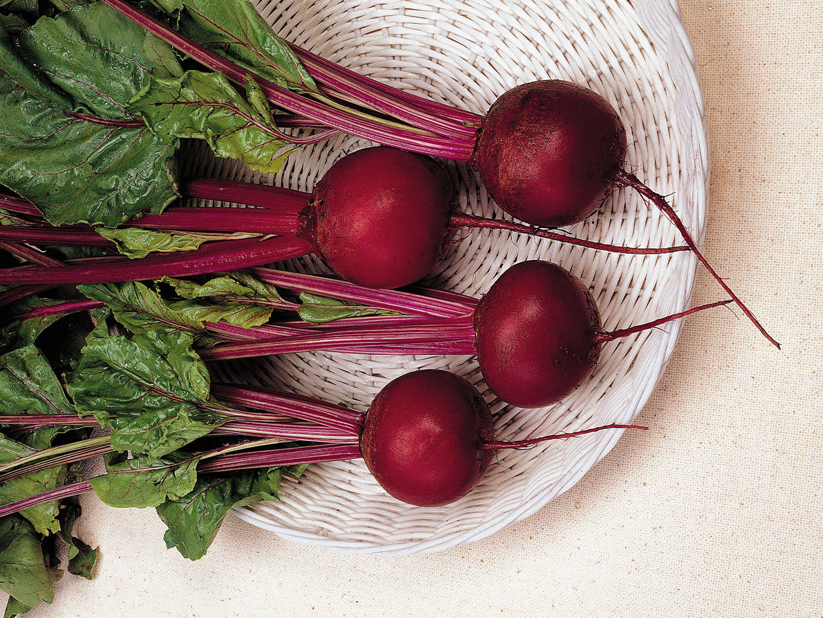 Seme Detroit Dark Red - Ostalo | SM AgroShop