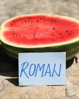 Seme Roman F1 - Ostalo | SM AgroShop