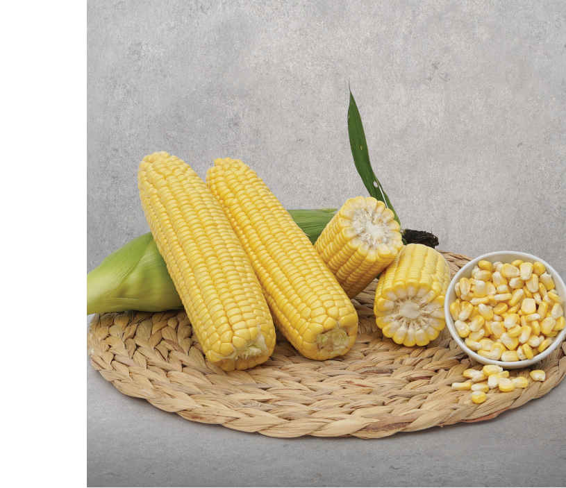 Seme Baha F1 - Ostalo | SM AgroShop