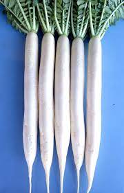 Seme Mino summer top 50g - Ostalo | SM AgroShop