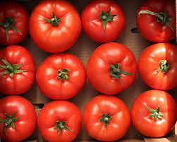 Seme Eterei F1 - Ostalo | SM AgroShop