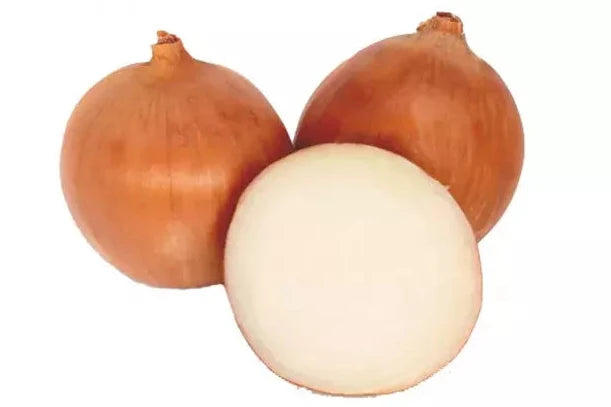 Prodaja Fokker F1 - Cena semena Ostalo | SM AgroShop