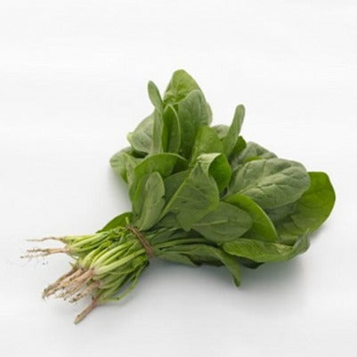 Prodaja Odysseus F1 - Cena semena Ostalo | SM AgroShop