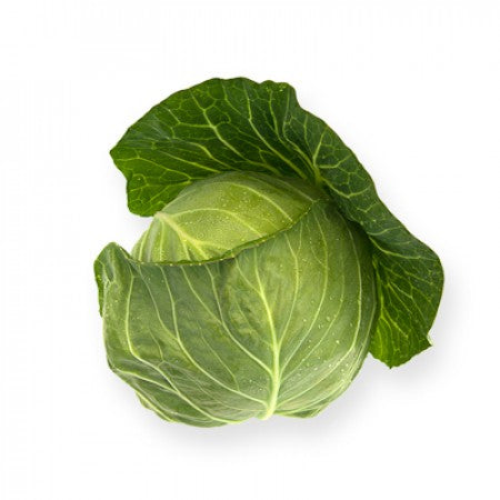 Profesionalno seme Seme kupusa Cilema F1 - Katalog semena povrća SM AgroShop