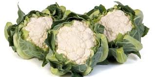 Prodaja Alston F1 - Cena semena Ostalo | SM AgroShop