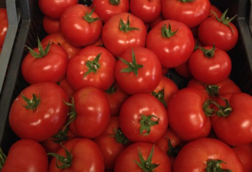 Seme Vasanta F1 - Ostalo | SM AgroShop