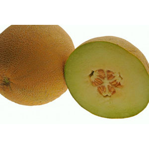 Seme Passport F1 - Ostalo | SM AgroShop