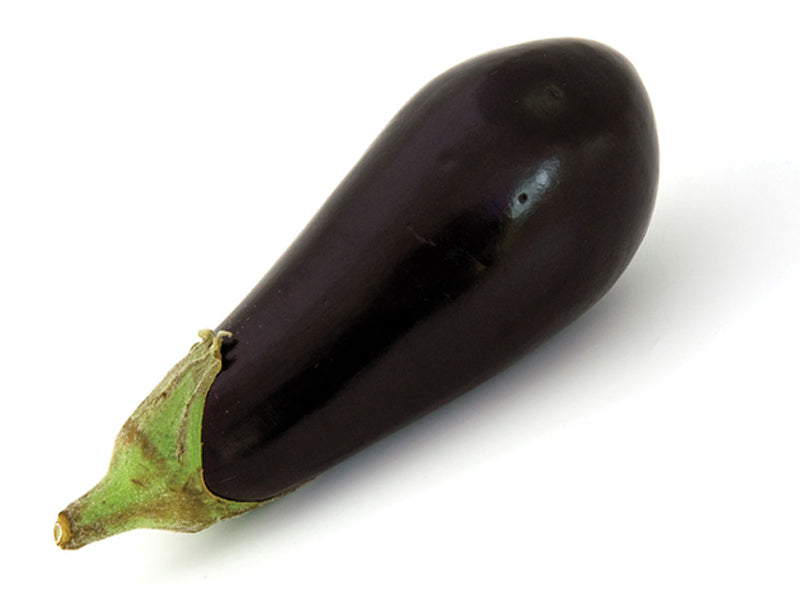 Seme Epic F1 - Ostalo | SM AgroShop