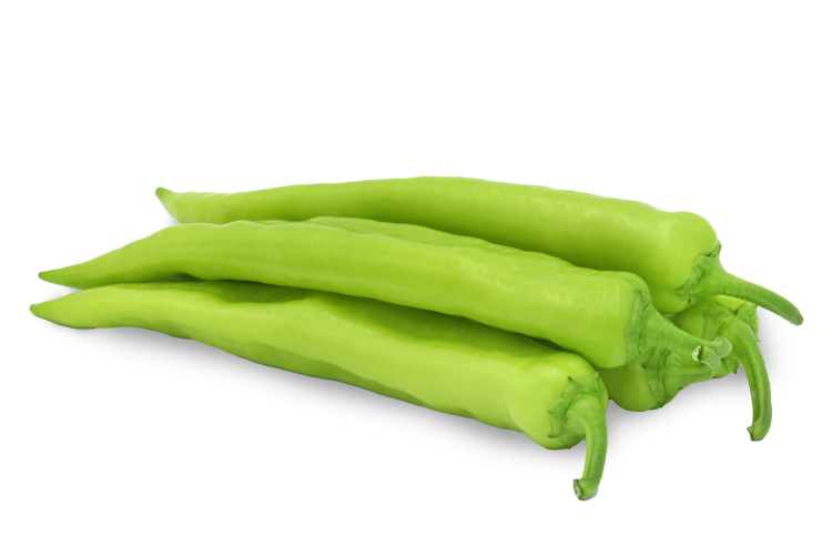 Profesionalno seme Seme paprike Namib F1 - Katalog semena povrća SM AgroShop