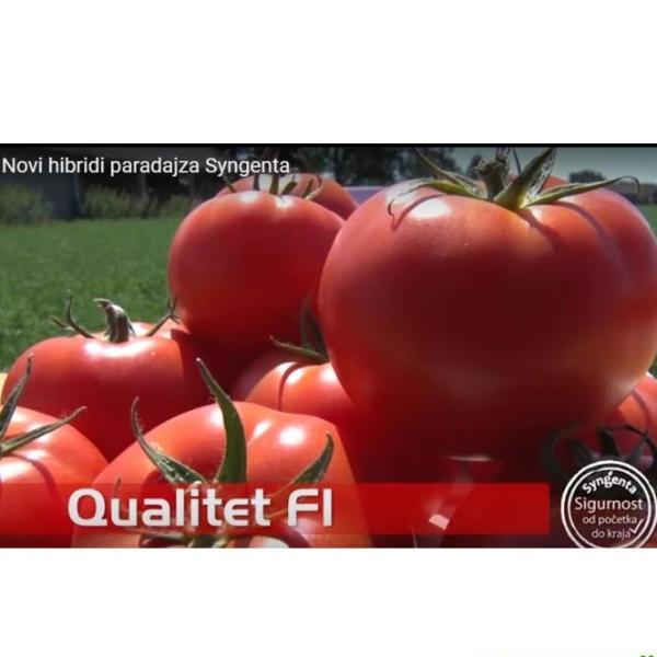 Seme Qualitet F1 - Ostalo | SM AgroShop