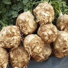 Seme Codex F1 Pilirano - Ostalo | SM AgroShop