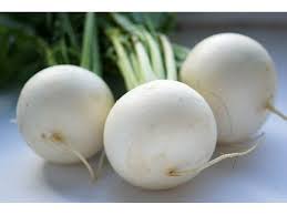 Seme Bela zimska rotkva - Ostalo | SM AgroShop