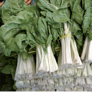 Prodaja Delta - Cena semena Ostalo | SM AgroShop