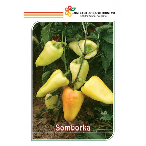 Seme Somborka - Ostalo | SM AgroShop