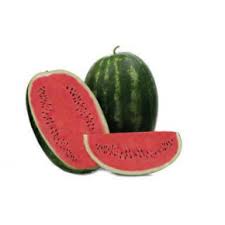 Seme Odyssey F1 - Ostalo | SM AgroShop