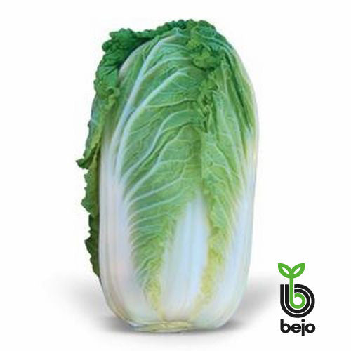 Profesionalno seme Seme kupusa Emiko F1 - Katalog semena povrća SM AgroShop