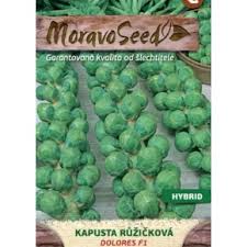 Seme Dolores F1 - Ostalo | SM AgroShop