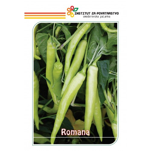 Seme Romana - Ostalo | SM AgroShop
