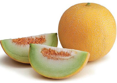 Prodaja Kiros F1 - Cena semena Ostalo | SM AgroShop