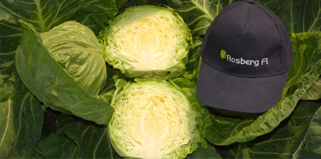 Seme Rosberg F1 - Ostalo | SM AgroShop