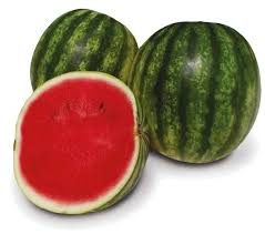 Seme Pluto F1 - Ostalo | SM AgroShop