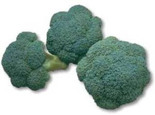 Seme Montop F1 - Ostalo | SM AgroShop