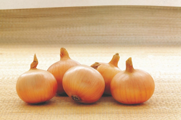 Seme Element F1 - Ostalo | SM AgroShop