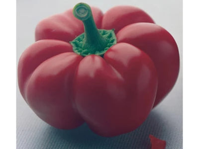 Seme Maroš F1 - Ostalo | SM AgroShop