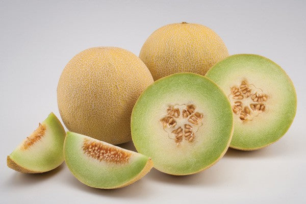 Seme Tracey F1 - Ostalo | SM AgroShop